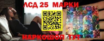 ALPHA PVP Гатчина