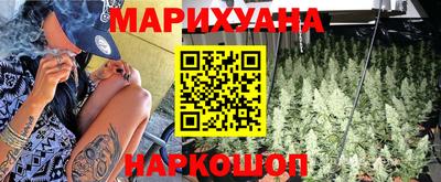 ALPHA PVP Гатчина