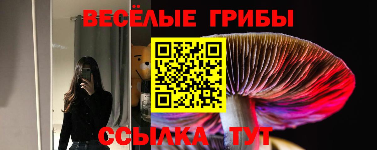 Псилоцибиновые грибы прущие грибы Муром