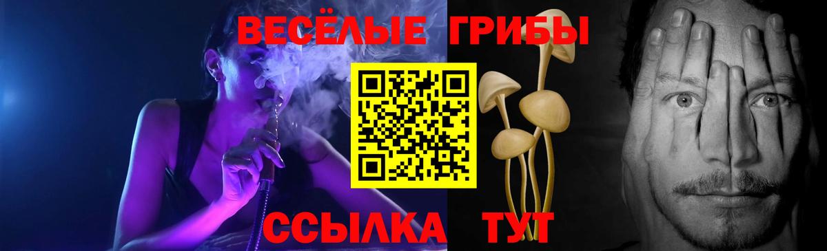 Муром  Галлюциногенные грибы Psilocybine cubensis  Галлюциногенные грибы мицелий  Вход с VPN 