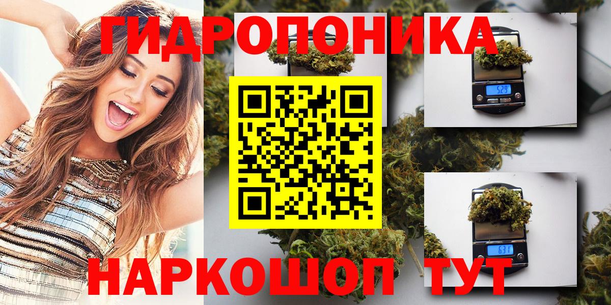 Конопля OG Kush  Конопля семена  Муром  Бошки марихуана конопля  Вход с VPN 